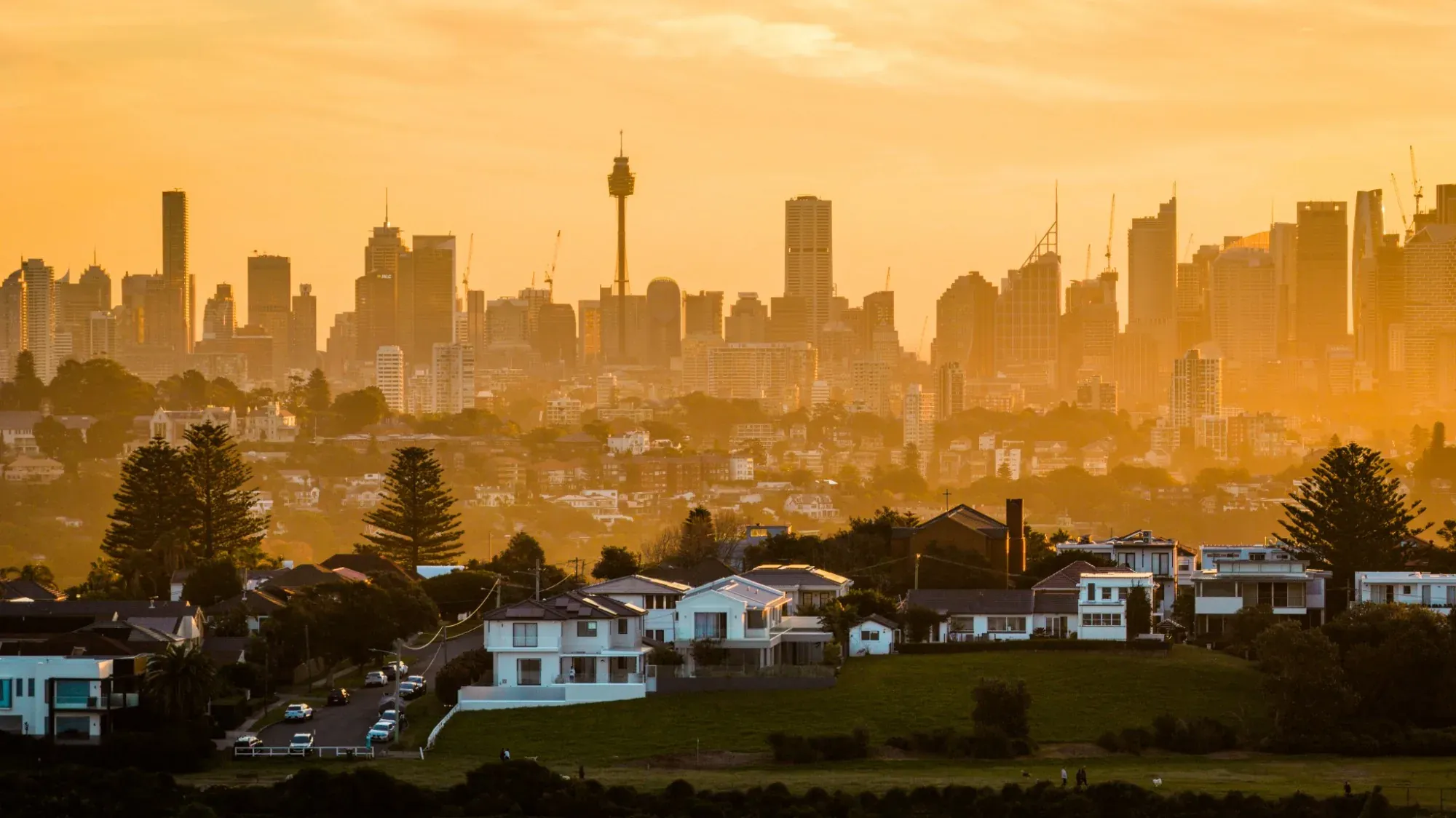 Sydney's CBD skyline and Sydney Tower at sunset, for the LN Property Buyers guides by Sydney buyers agents Laura Nocera and Luis Lequerica